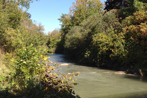 Oshawa Creek, September 2014.