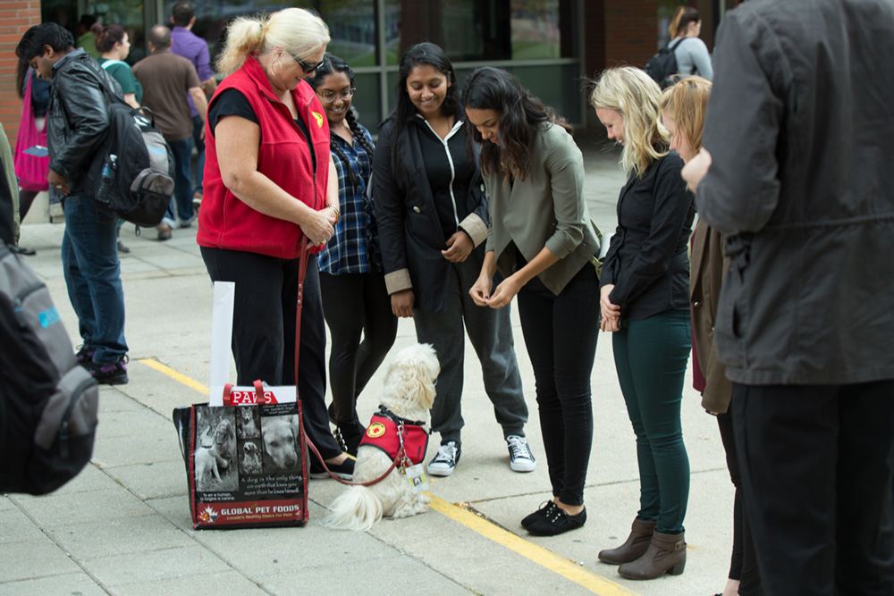 At the Therapeutic Paws event, Students took a break from their studies and relaxed while petting and playing with dogs.
