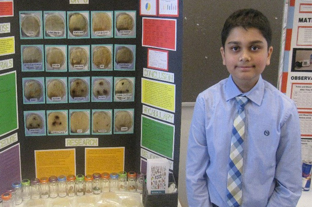 Shiv Patel with his DRSF project, Natural vs Synthetic Preservatives.