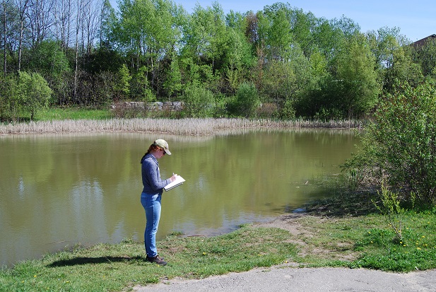 University of Ontario Institute of Technology master’s student Alex Johnston conducts field research in an Oshawa stormwater management pond.