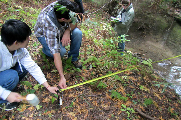 Faculty of Science  biology students helped Associate Professor Dr. Andrea Kirkwood deploy cotton test strips along stream banks in Durham Region as part of an international research study of waterway ecosystems.