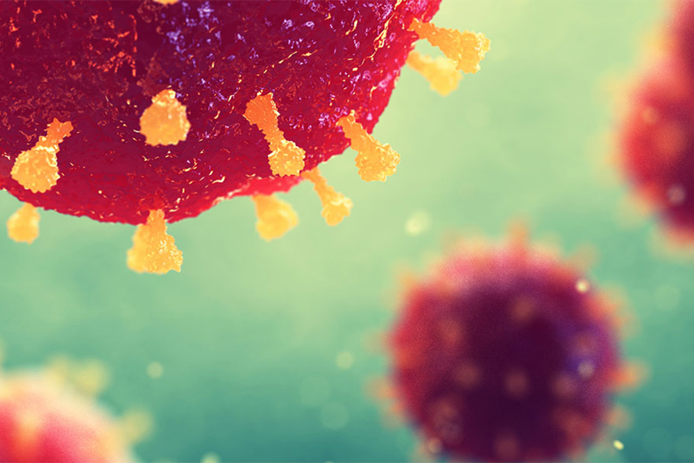 Molecular image of the novel coronavirus.