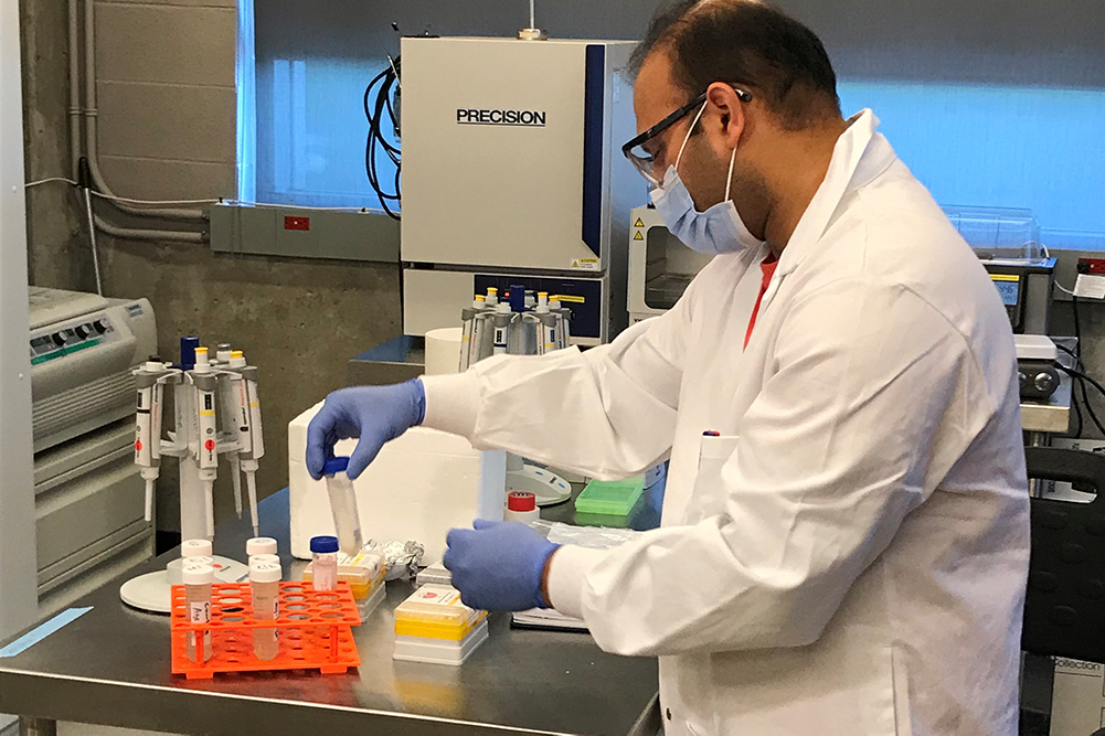 Testing wastewater samples in a Faculty of Science laboratory at Ontario Tech University (September 2020).