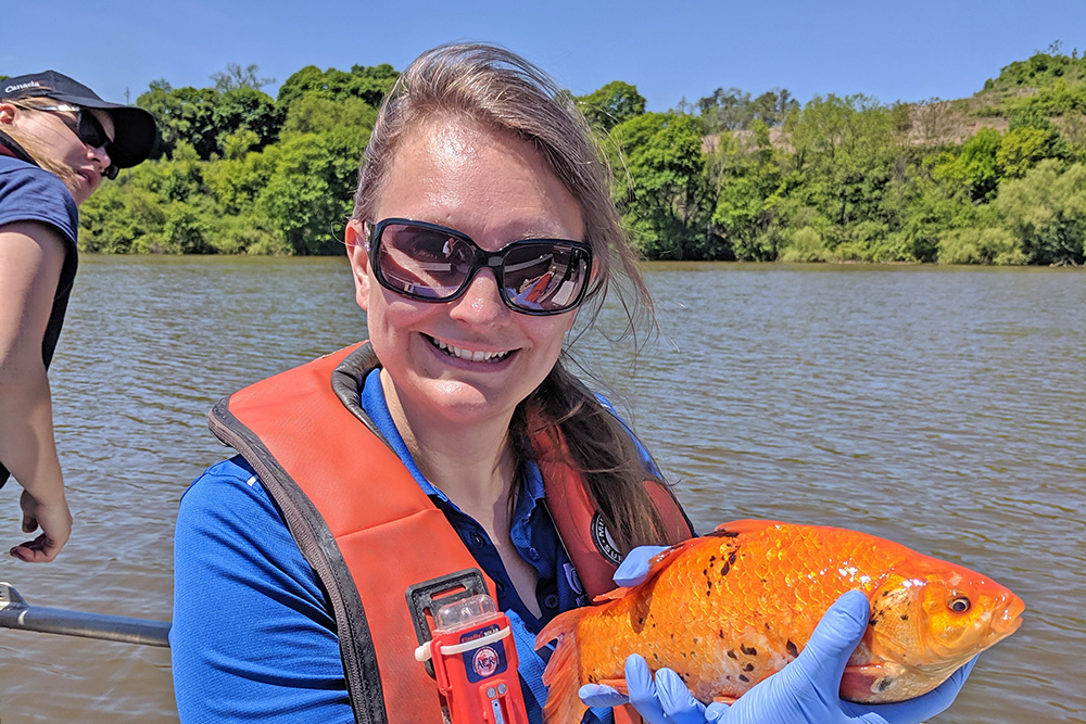 Dr. Denina Simmons, Canada Research Chair in Aquatic Toxicology, and Assistant Professor (Biology), Faculty of Science, Ontario Tech University.