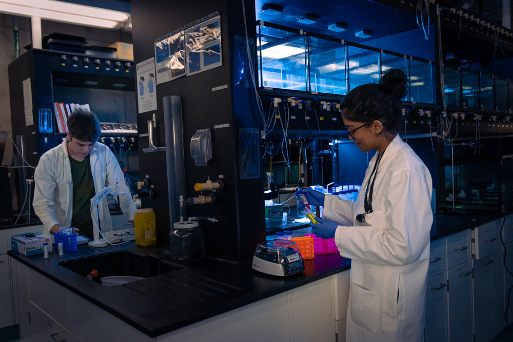  Aquatic Toxicology Laboratory in the Science building at Ontario Tech University.