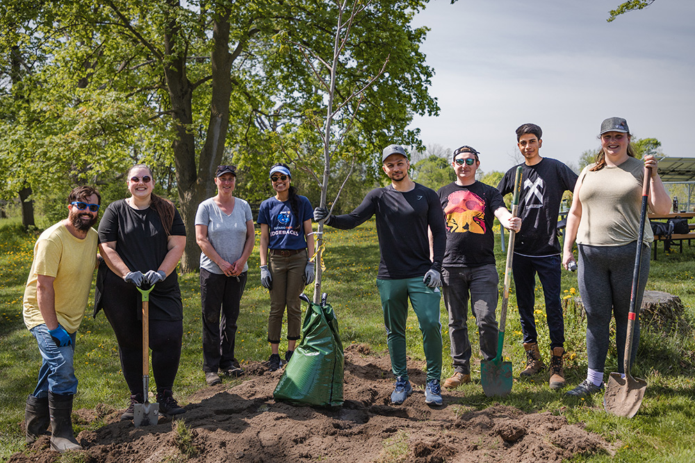 Tree-planting community event for alumni, staff and students at Ontario Tech University's Windfields Farm property (May 2023).