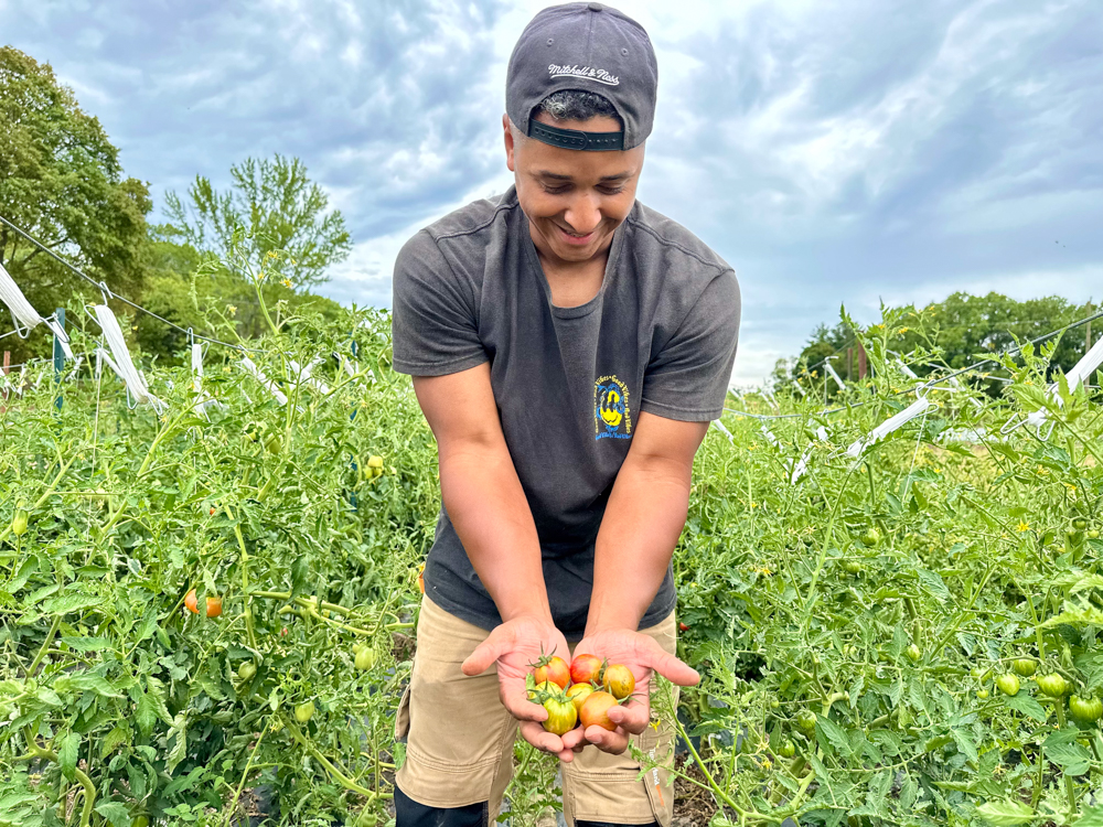 Alanzo Byfield, Founder and Director, Common Ground Foodshare, checks on crops on the Windfields Farm lands at Ontario Tech University. (August 2025) 